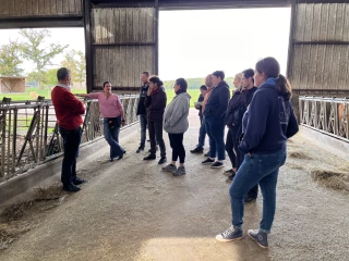 Trouver des solutions