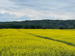 Sous le vent, la neige et le soleil