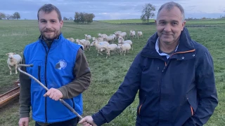 Le bâton de berger change de main