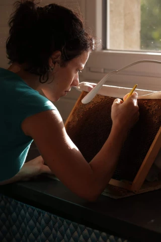 Ce que vous ignorez sur la gelée royale