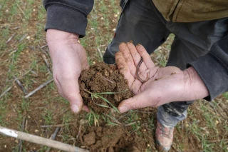Webinaire Vitagora sur le carbone et l'entrepreneuriat en agriculture