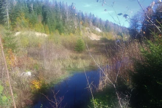 Qualité eau de rivière dans le Jura