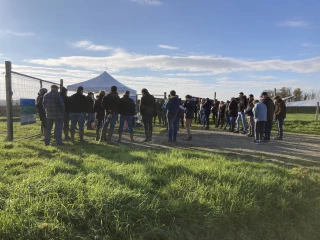 Conjuguer élevage et agrivoltaïsme