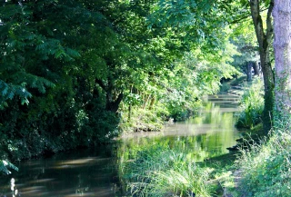 Une ressource réglementée