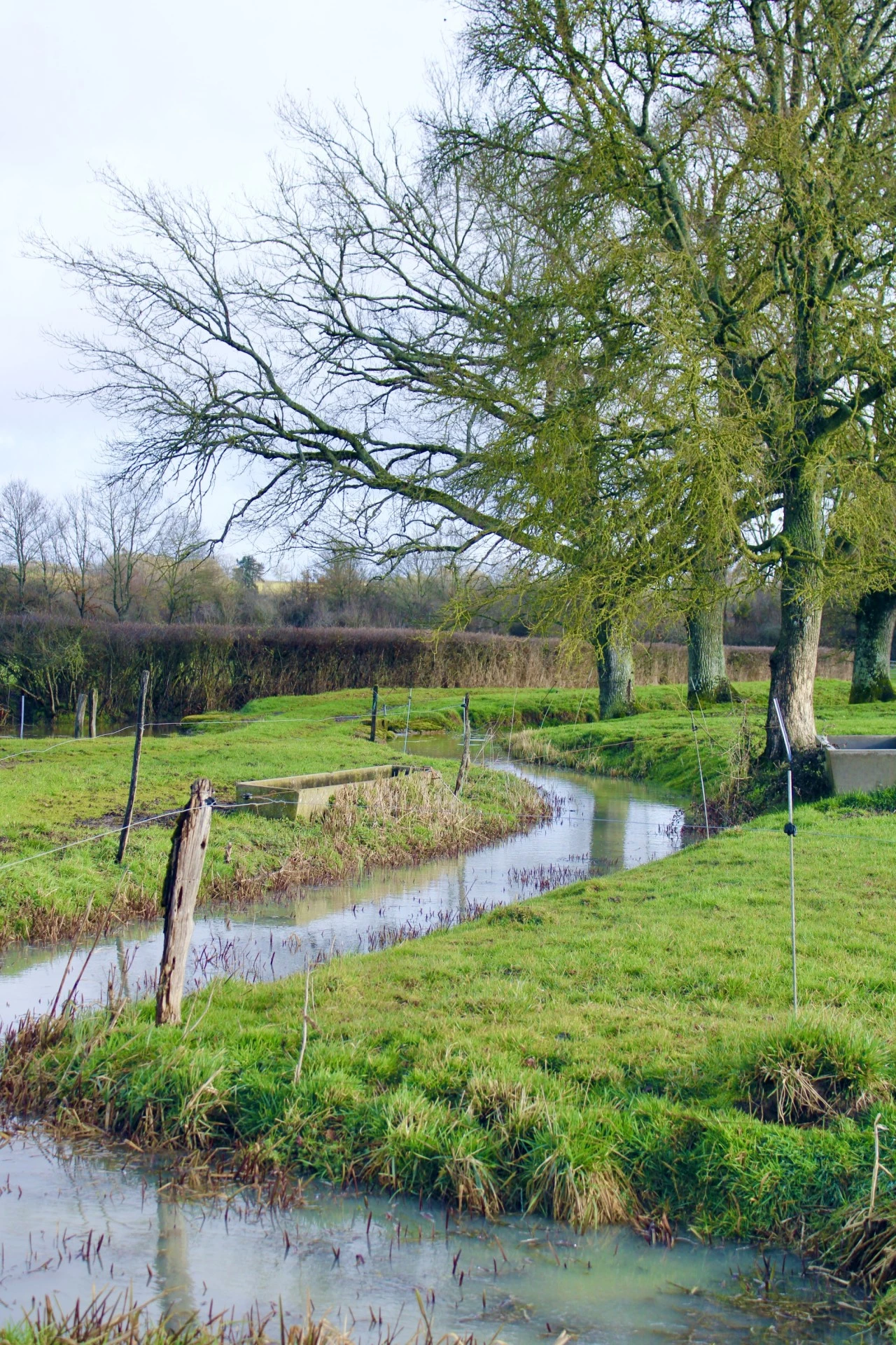 Cours d'eau, comment demander une révision de leur classement ?