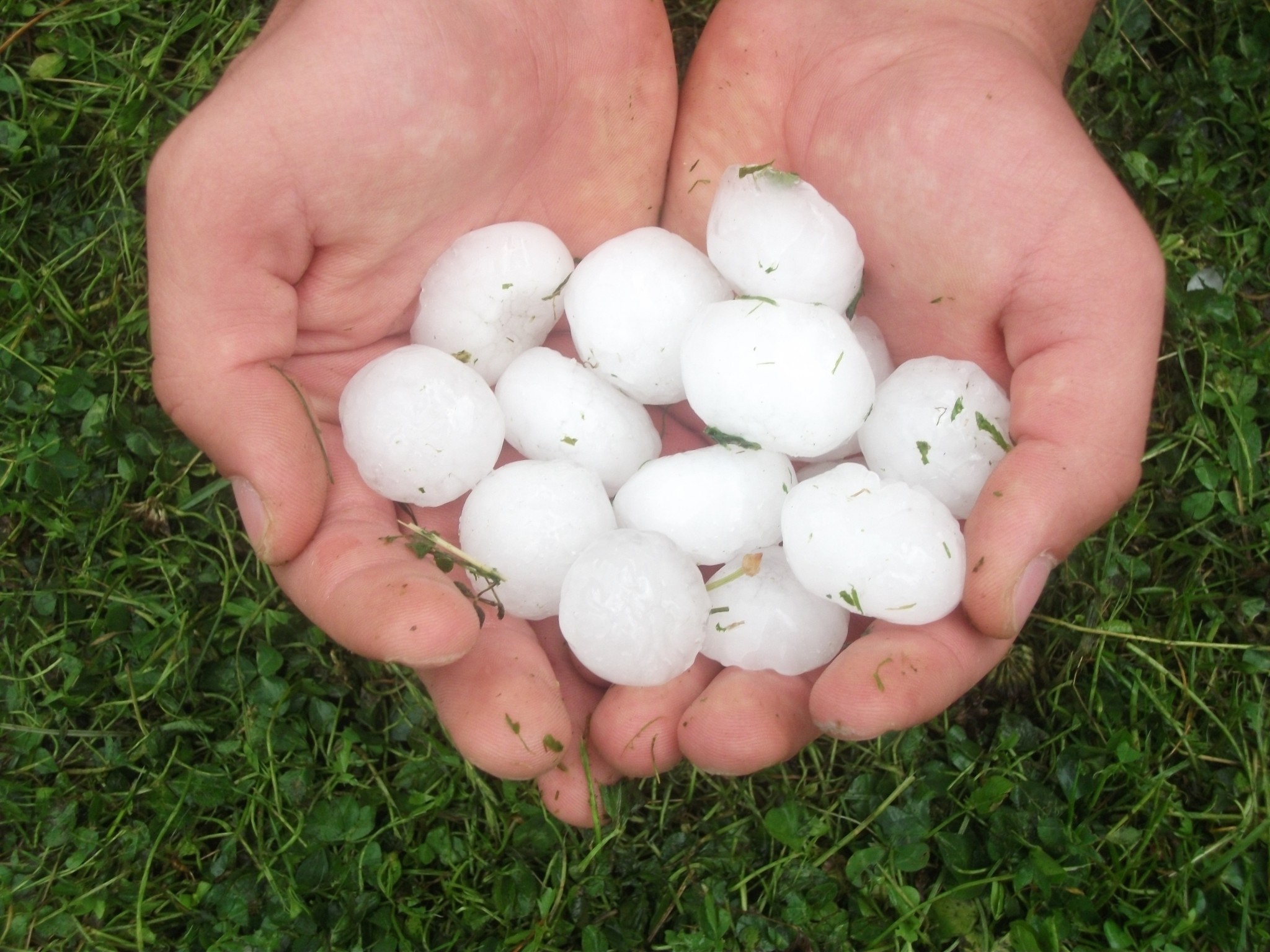 Reconnaissance de calamité agricole dans la Nièvre