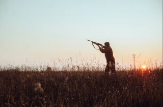 Le plan chasse dévoilé