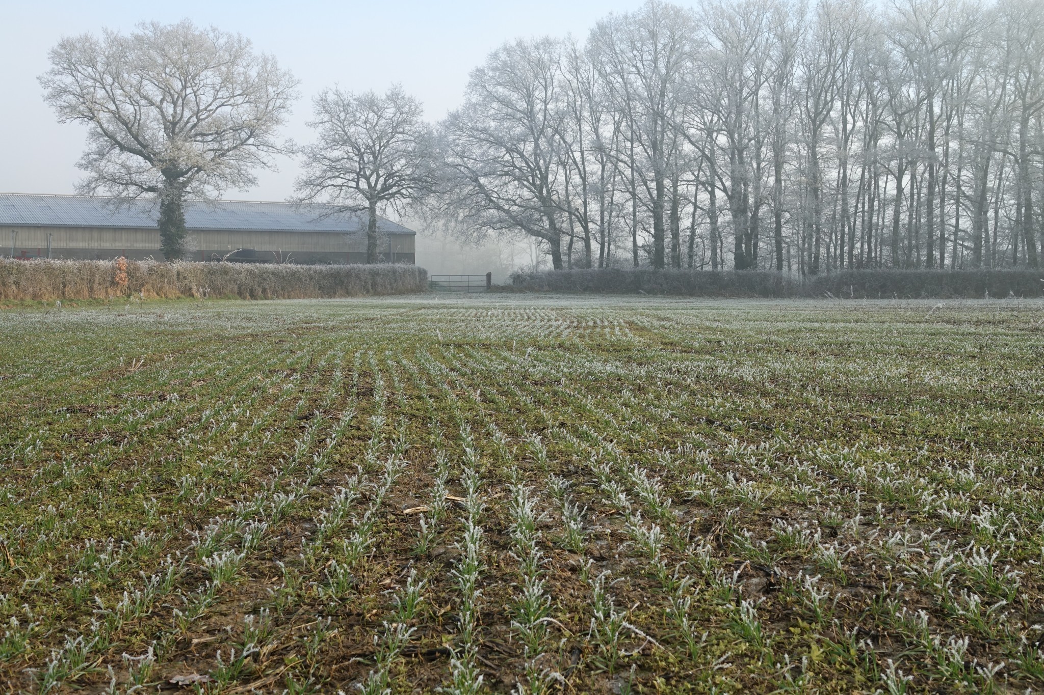 Une situation inédite passant d’un extrême thermique à l’autre