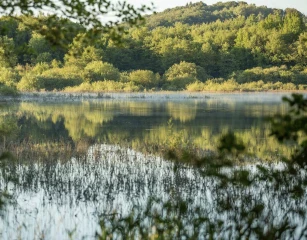 Concours patrimoine et biodiversité