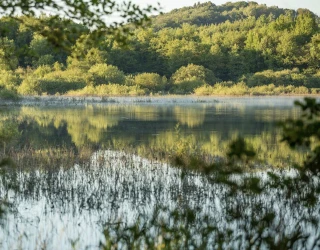 Concours patrimoine et biodiversité