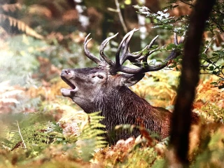 Une acquisition de connaissances