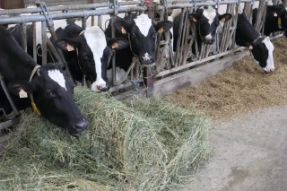 Quel bilan pour le projet Filoléma ?