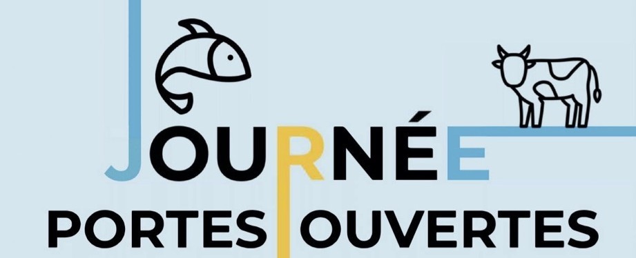BTS : une insertion professionnelle ciblée