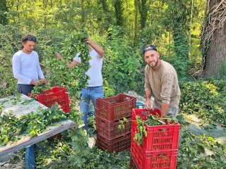 « Continuer à s’amuser »