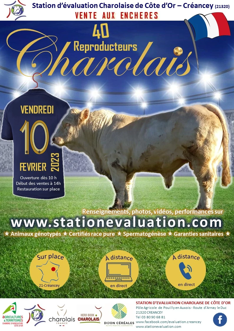 L'affiche
