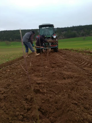 Plus de trois kilomètres de haies plantées à Mâlain