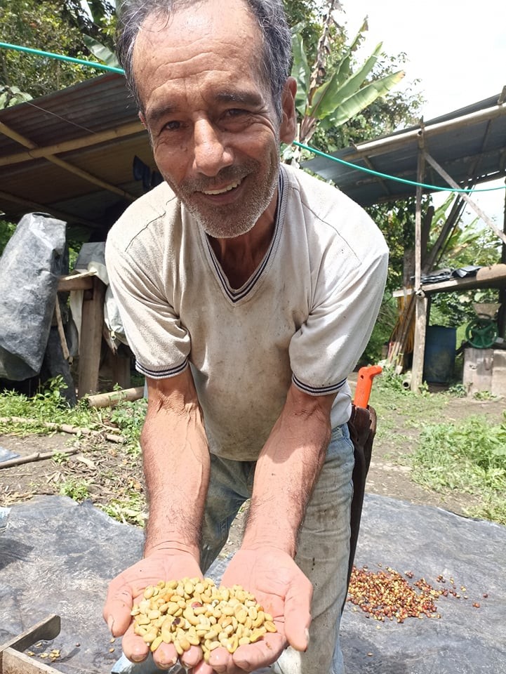 Le café colombien, fort en goût, mais si fragile !