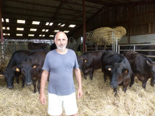 Magazine : reconnaissance du boeuf japonais Wagyu