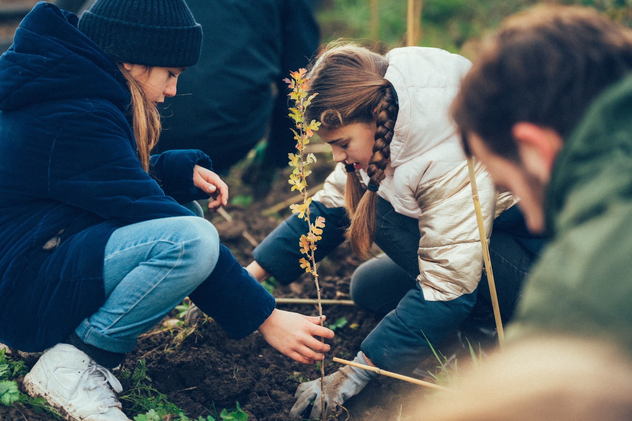 Aux arbres, jeunes citoyens !