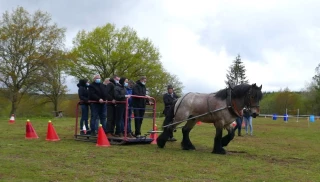 Le Trait Auxois en route pour la capitale 