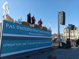 Manif
