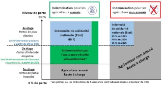Assurance récolte