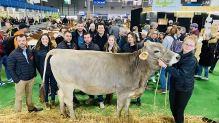Une petite virée parisienne