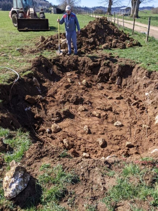 Les cas les plus courants en élevage bovin