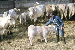 Un pour tous et tous pour un