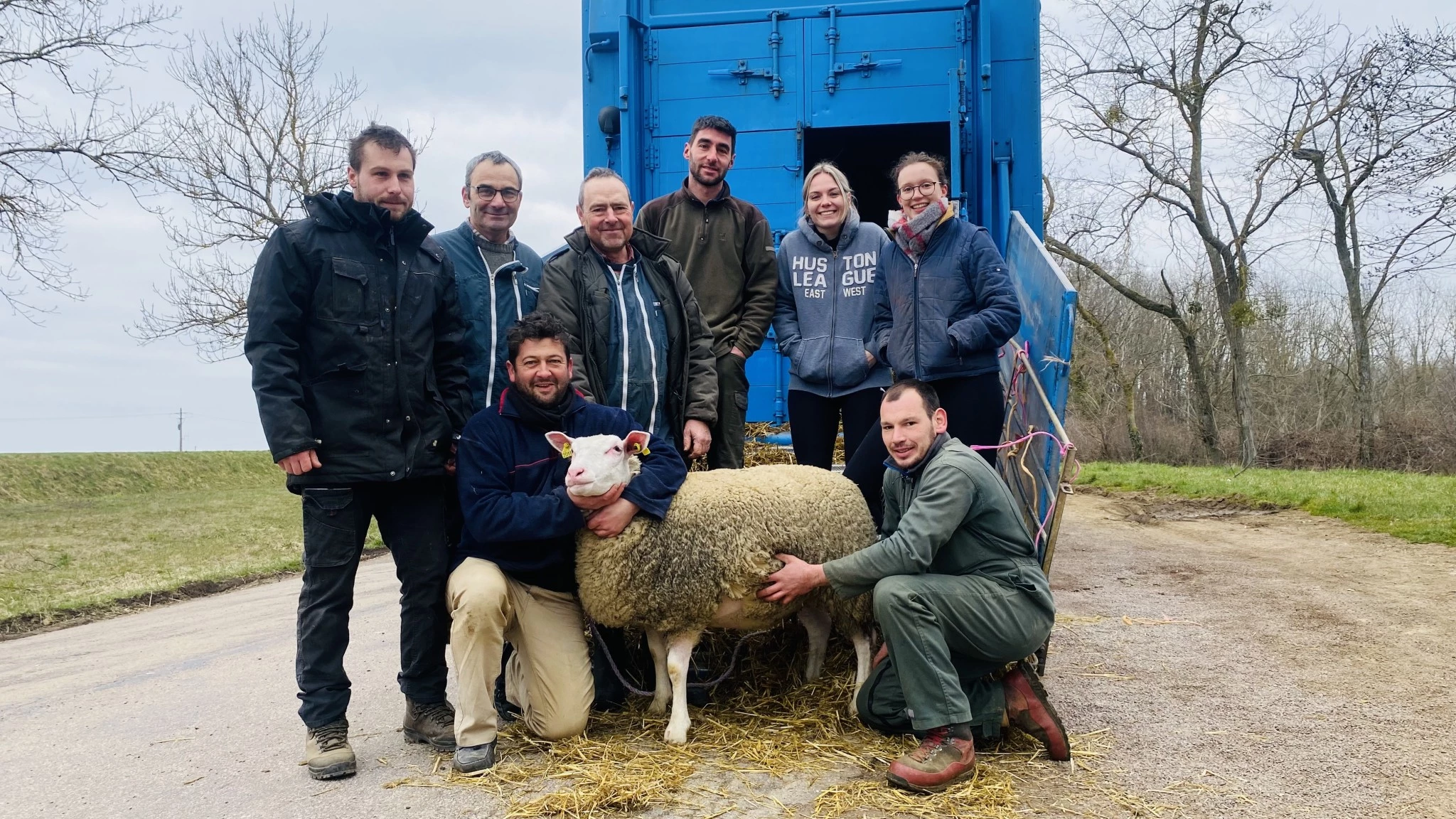 Ovins, un arrêt par Semur