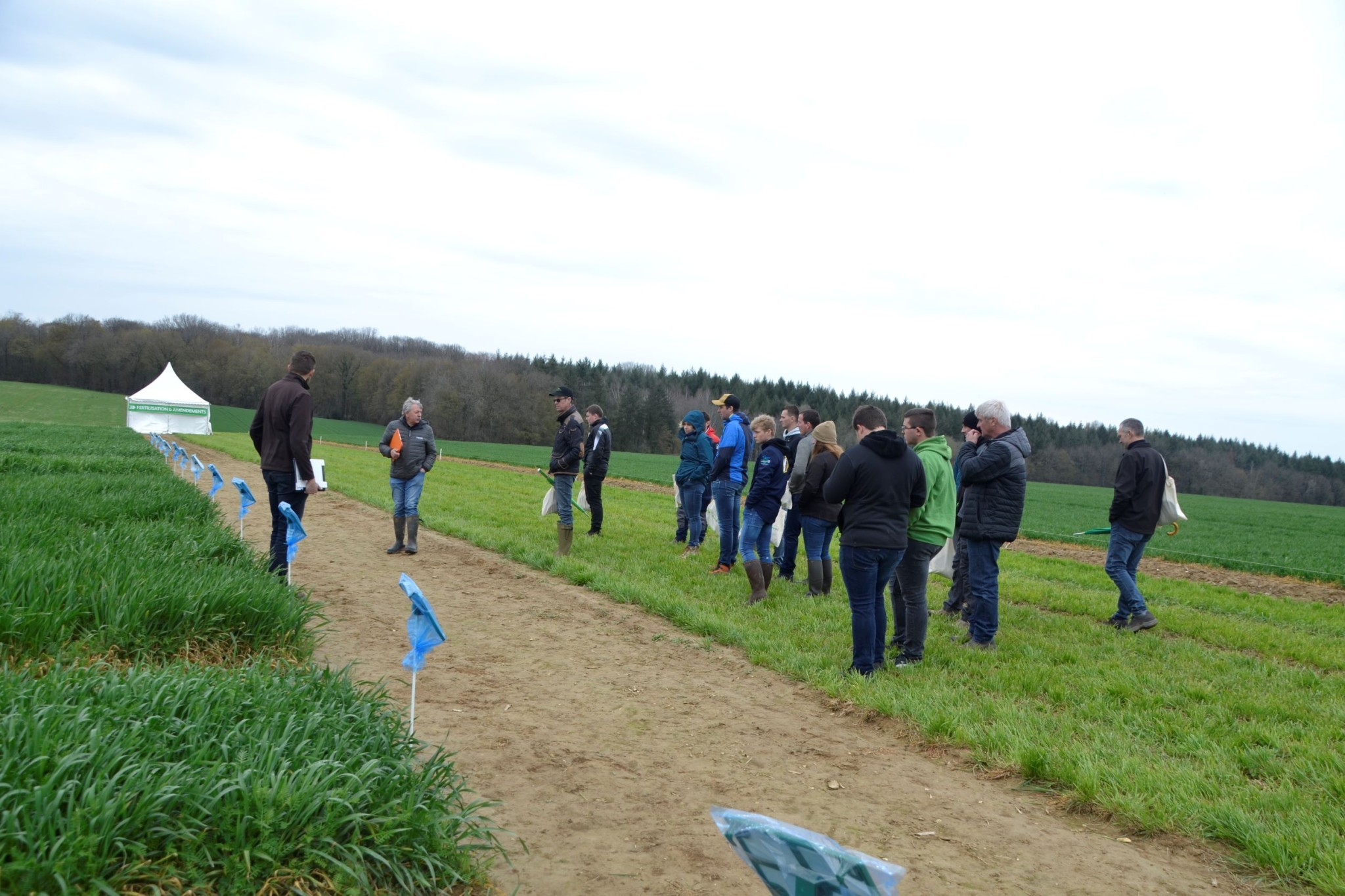 Le salon de l'herbe d'Onay (70) riche en solutions fourragères