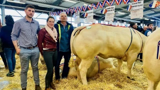 Une belle fête du bœuf, quand même