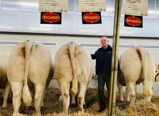 Une plus-value « plus que limite »