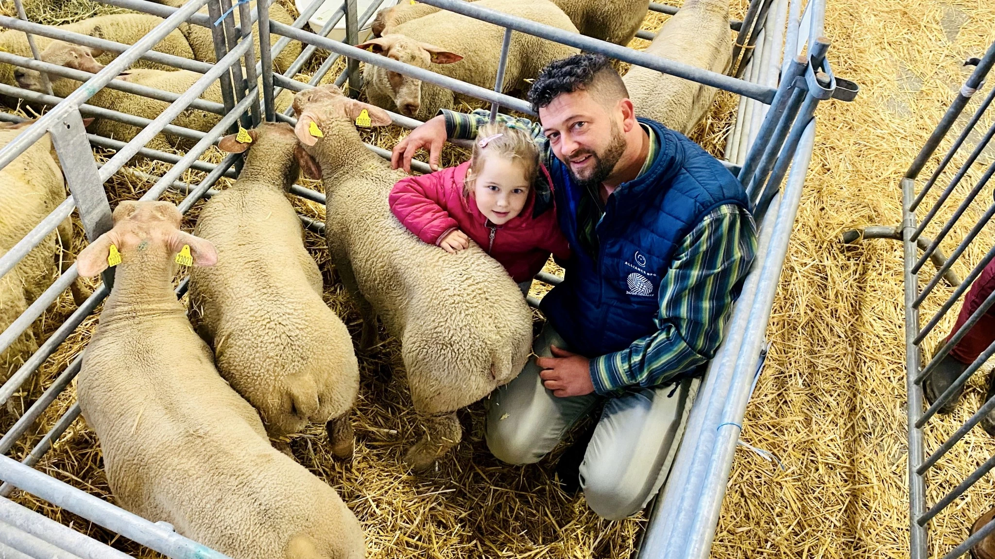 Ovins Une plaque, ça vaut le coup