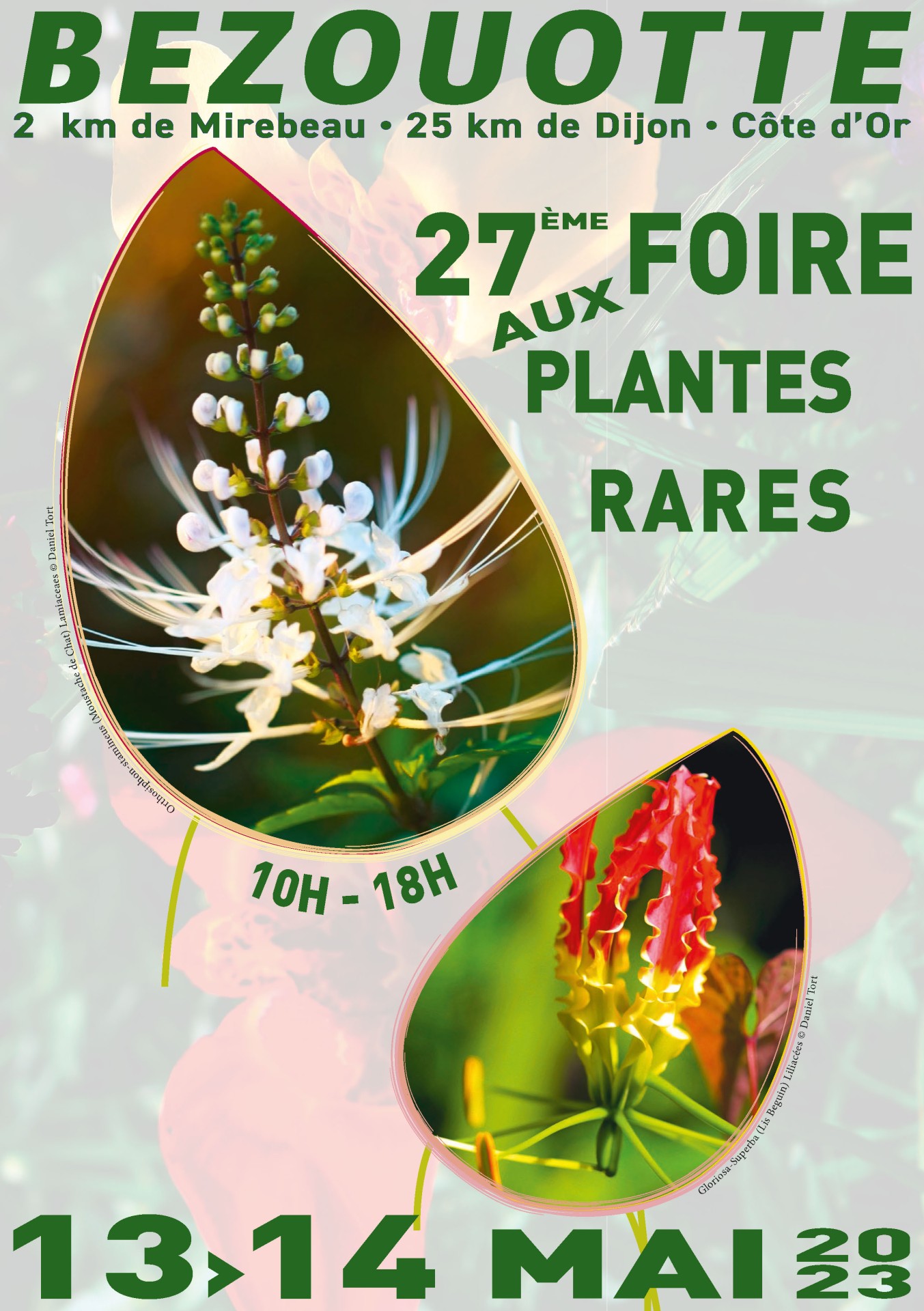 27e Foire aux plantes rares de Bézouotte