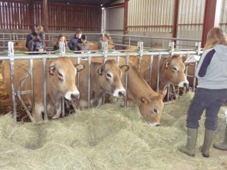 Des mois bien remplis