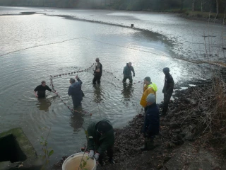 S'informer sur les étangs