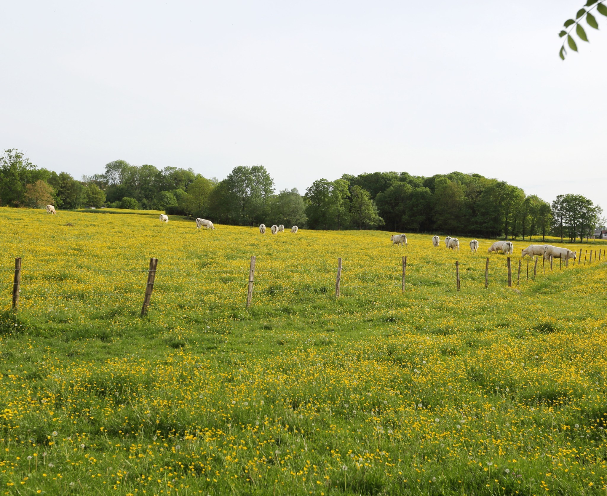 La FRSEA de Bourgogne Franche-Comté réagit