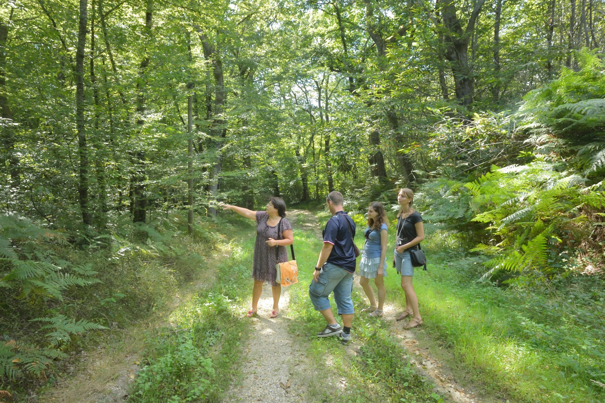Comment se comporte le marché forestier en BFC ?