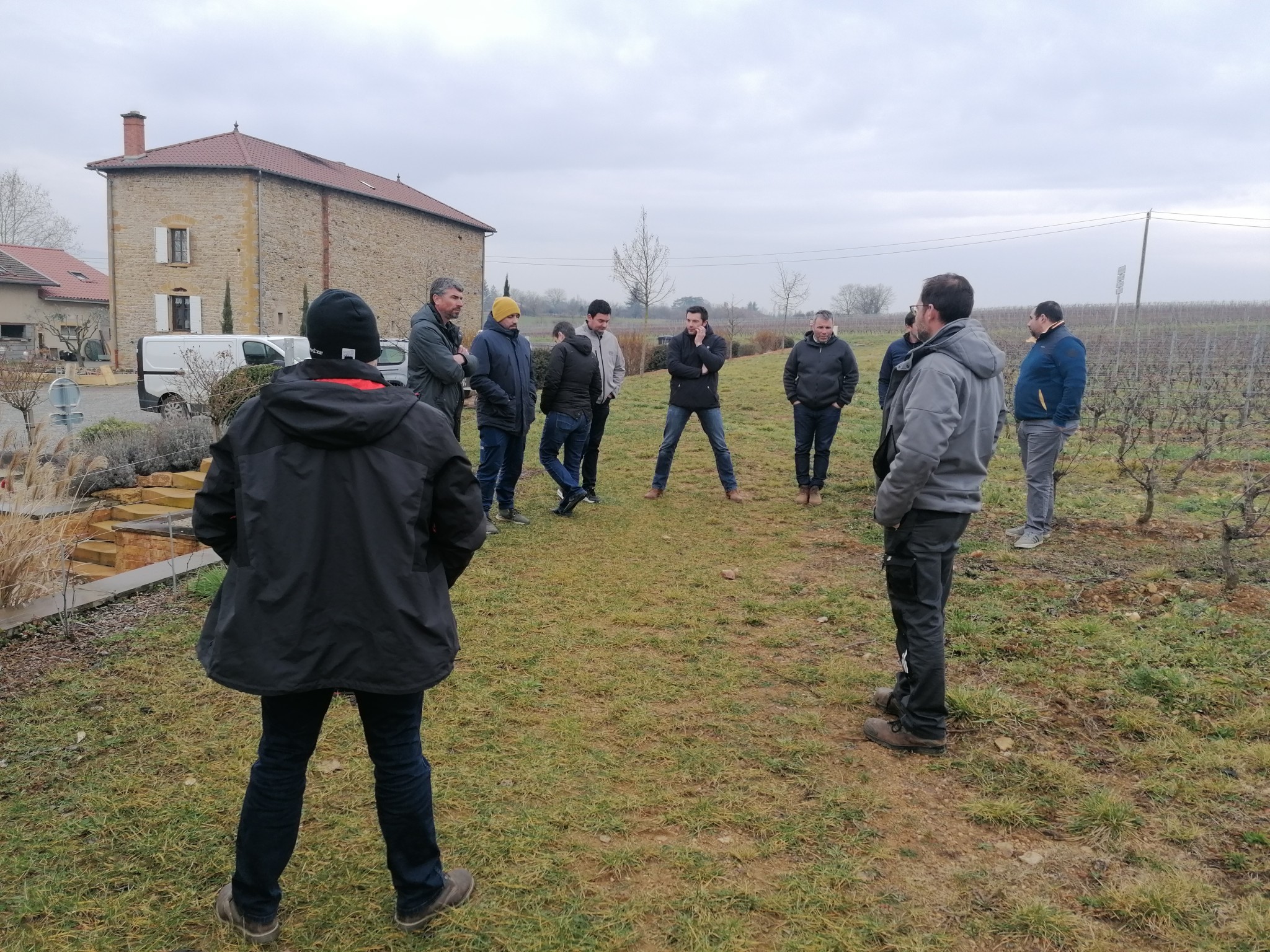 Viticulture