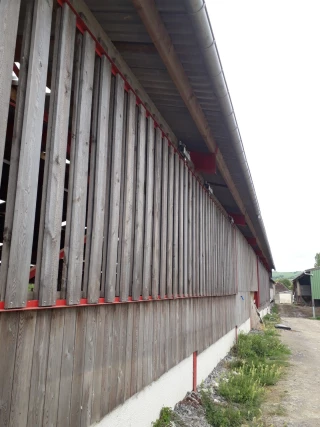 Dossier bâtiment : Des astuces pour que vos moutons aient moins chaud