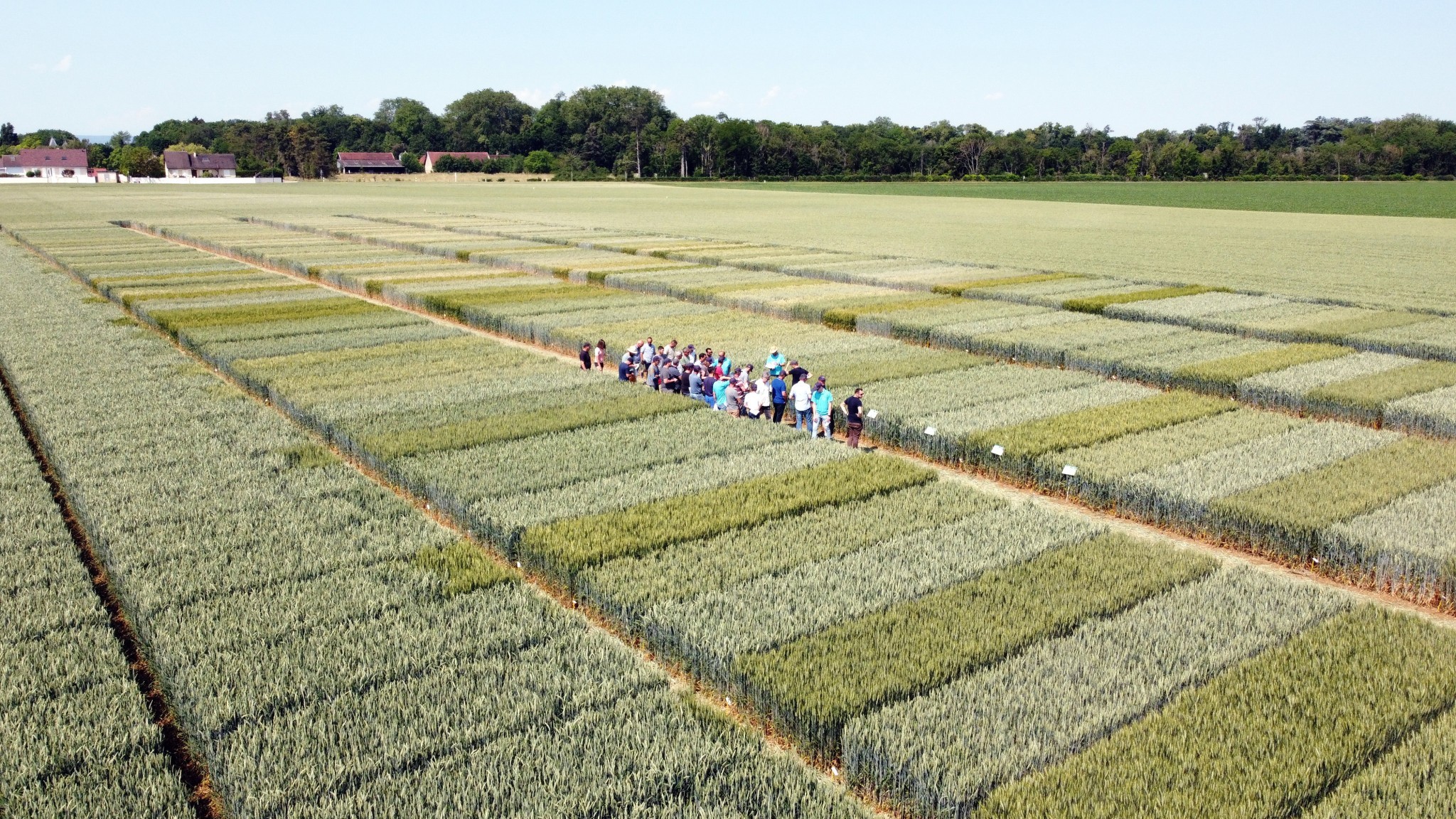 Essaimer l’agriculture de demain