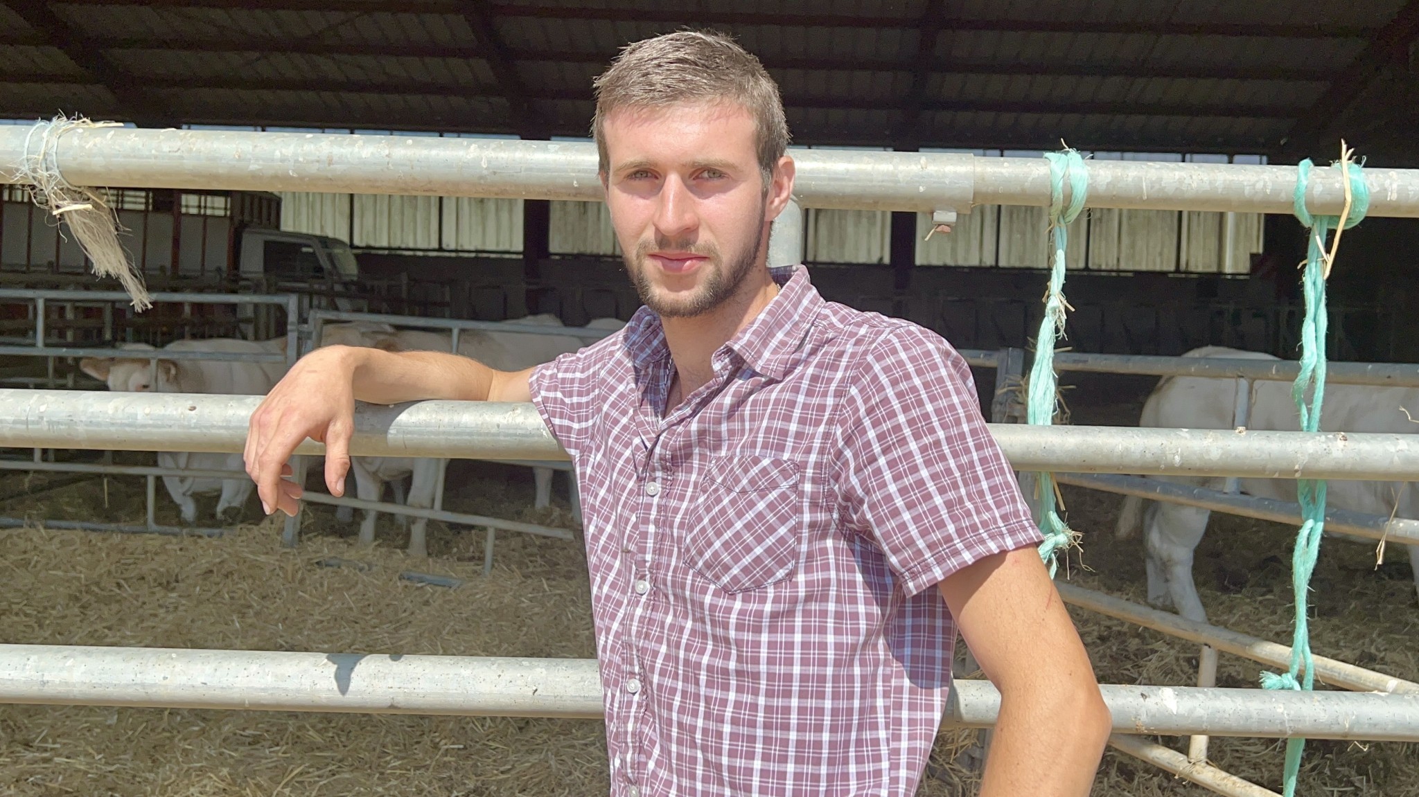 La Fête du Charolais à l'horizon
