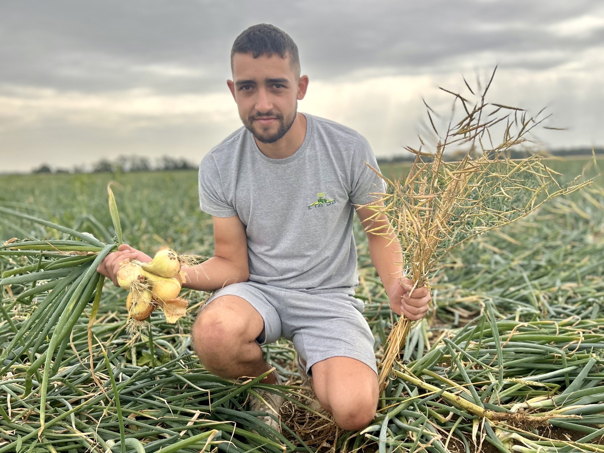 Oignons : variétés, plantation et récolte