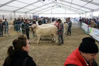La Fête de l’élevage revient !