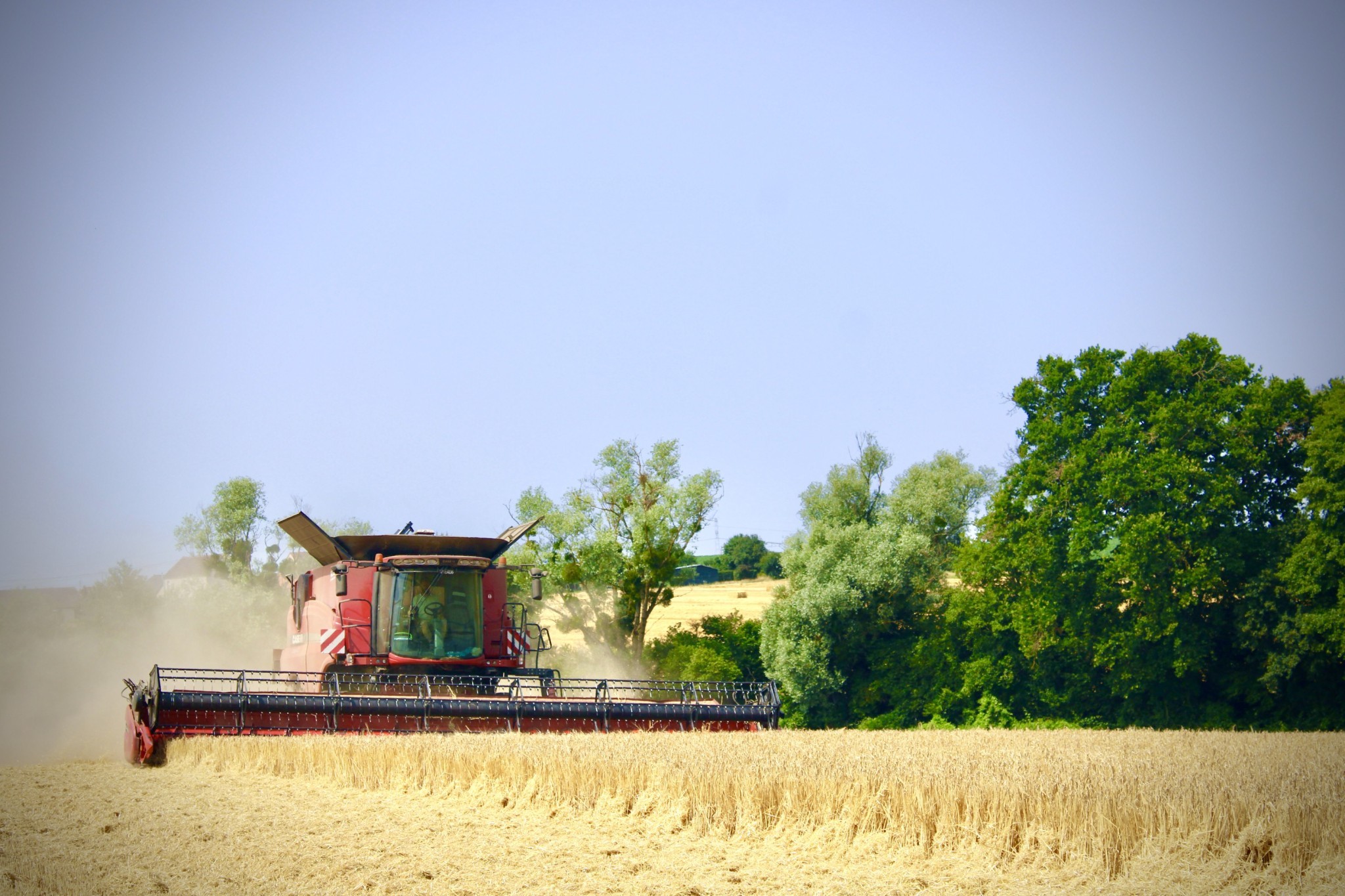 Un grain de vie