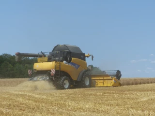 Moisson