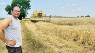 Entre l'herbe et les graines