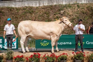 Osiris la championne