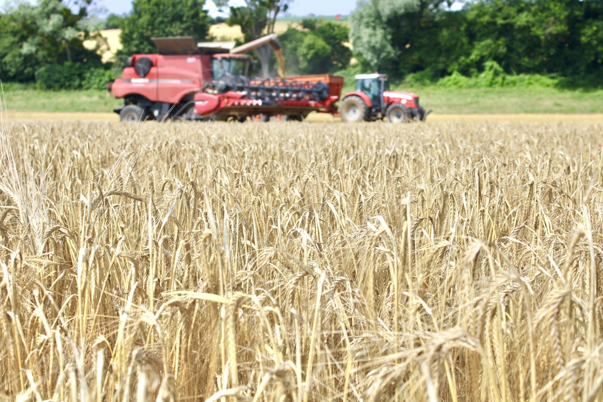 Bilan moisson fourrage et cultures d'hiver